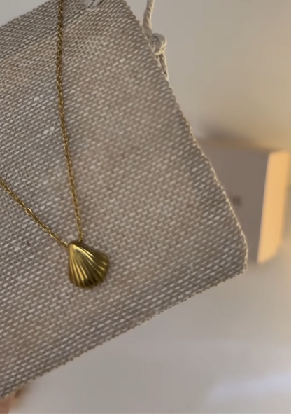 Seashell necklace